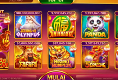 Harga Chip Higgs Bearfish Casino 1B Terbaru 2024, Bisa Bayar Pake Virtual Account dan Pulsa!