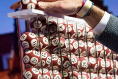 Résultat EuroMillions du 15 août 2024 Aujourd'hui, gagne des centaines d'euros par tour !