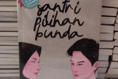 Link Download Novel Santri Pilihan Bunda PDF, Unduh Lengkap Bahasa Indonesia
