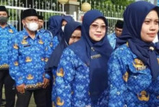 Cara Cek Penetapan NIP PPPK 2024 di MOLA BKN dengan Mudah, Siap Dilantik oleh Instansi Masing-masing