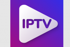 Meilleures Applications IPTV pour Android 2024, Applications IPTV pour regarder la télévision!