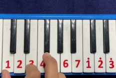 Not Pianika Basuri v3 v4 v5 Telolet Viral Tiktok, Tempo Pelan Mudah Untuk Para Pemula!