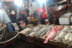 Pasar Seafood Terdekat Dari Sini, Sedia Olahan Laut yang Masih Fresh Seluruh Kota Besar Indonesia