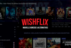 Adresse de Streaming Wishflix août 2024, Plateformes de visionnage de films de type Netflix