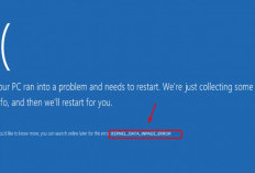 Penyebab dan Cara Mengatasi Kode Kernel Data Inpage Error, Ikuti Tutorial Mudah Berikut Ini!