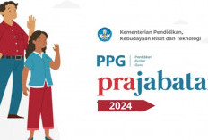 Pendaftaran Beasiswa PPG Prajabatan 2024/2025 Kapan Dibuka? Siapkan Peluang Untuk Jadi Guru Berserdik!