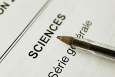 Programme de L'Examen du Brevet Scientifique en 2024, Notez la Date et Vérifiez Les Points !