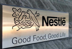 Review Aplikasi Nestle Penghasil Uang : Cara Menghasilkan Uang, Cara Daftar dan Lainya yang Perlu Kamu Tau!
