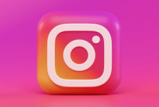 Apa itu Picuki Instagram Story? Link Akses Resmi, Menjelajahi dan Unduh Konten Instagram Tanpa Akun