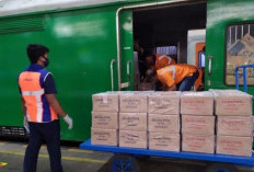 Penipuan Loker PT Lingkar Express Logistik Mitos atau Fakta? Cek Tips Terhindar dari Modus Penipuan!