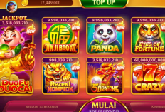 WWW Higgs Domino Island Com, Login Website Resmi Slot Online Terpopuler Indonesia, Berani Coba?