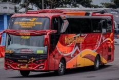Lokasi Agen Bus Sugeng Rahayu Terdekat Daerah Surabaya Sidoarjo Terbaru Tahun 2024, Cek Sekarang!