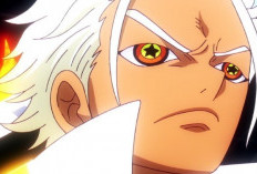 Rapport Stella ! Lien Pour Regarder Anime One Piece Episode 1107 VOSTFR, Les Séraphins Ne Bougent Plus !
