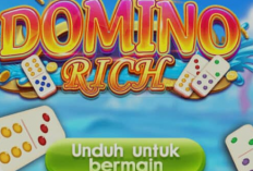 Download Domino Rich APK Mod Unlimited Chip 2024, Langsung Bisa Spin Tanpa Top Up! Uang di Dompet Dijamin Aman