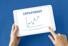 Rekomendasi 6 Aplikasi Investasi Terpercaya Buat Pemula, Tanam Reksadana atau Deposito Aman dan Low Risk