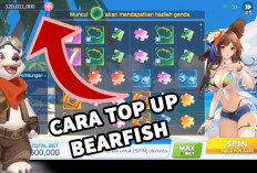 Termurah! Cara Top Up Bearfish Casino di Codashop Banyak Diskon 2024, Dapatkan Spesial Potongan Harga