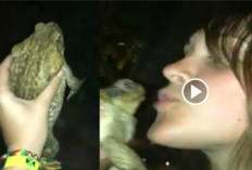 Vidéo One Girl one Frog A Longtemps Fait L'objet D'une Chasse Aux Internautes Curieux