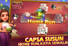 Login Tdomino Boxiangyx Untuk Jadi Mitra Higgs Domino Island, Game Penghasil Uang Ternama di Indonesia