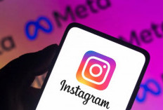 Cara Menggunakan Picuki Instagram Story Versi Terbaru 2024, Nikmati Kemudahan yang Diberikan!