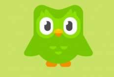 Free Download Duolingo Mod APK Latest Version 2024, Full Unlocked! Solusi Belajar Bahasa Gratis