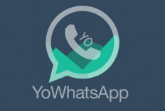 FREE Download YoWhatsApp Versi Terbaru 2024, Modifikasi WA Anti Banned! Unduh Tanpa VPN