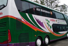 Lokasi Agen Bus Lorena Terdekat (Surabaya Sidoarjo Sekitarnya), Sesuaikan dengan Alamat Tempat Tinggalmu!