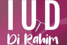 Novel Misteri IUD Di Rahim Hana Free Download, Kisah Seru Karya Majarani