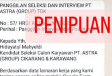 PT BP Group Indonesia Penipuan Lowongan Kerja Berkedok Perusahaan Besar? Awas Jangan Sampai Jadi Korban!