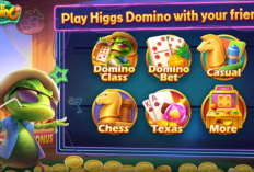 Top Up Higgs Domino 1B Termurah 2024, Proses Cepat dan Terpercaya! Main Slot Makin Lancar Jaya