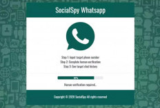 Viral! Cara Menggunakan Social Spy Whatsapp dan Resiko yang Perlu Diketahui Terbaru 2024