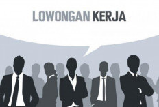 Info LOKER Makassar Februari 2024: Sales Estimator Hingga Admin Lapangan Lulusan SMA/SMK
