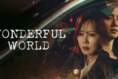Synopsis Drama Coréens Wonderful World (2024), La nouvelle série de Cha Eun Woo!
