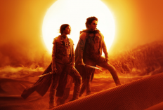 Synopsis du Film Dune : Deuxième Partie (2024), Un Succès au Box-Office Qui a Rapporté 1,2 Billion d'Euros