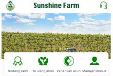 Download Sunshine Farm Mod APK Penghasil Uang 2024, Beserta Cara Pendaftaranya Terlengkap!