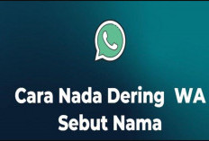 Cara Membuat Nada Dering WhatsApp Sebut Nama Terbaru 2024, Lagi Trend Bisa Dibuat Untuk Pasangan!
