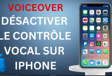 Comment Activer et Désactiver VoiceOver sur L'iPhone, Facilement Avec les Raccourcis D'Accessibilité !