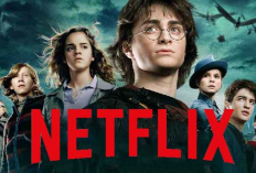 Regarder les films Harry Potter sur Netflix VOSTFR, Pas besoin d'utiliser un VPN pour y accéder !