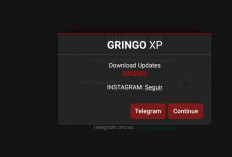 Link Download Gringo XP V77 for Android Versi Terbaru 2024 Main FF Auto Headshot