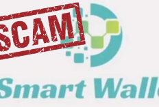 Info Smart Wallet Hari Ini 29 Maret 2024 : Resmi di Blokir OJK dan Kominfo, Kini Sudah Tak Bisa di Akses!