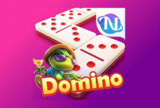 Link Download Logo Higgs Domino Bentuk PNG, Versi Terbaru 2024 Full HD