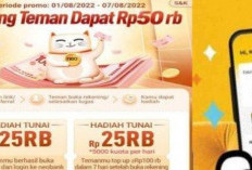 AdidsccVIP Penghasil Uang atau Penipuan? Cek Cara Kerja dan Alur Dapatkan Komisi Realnya!