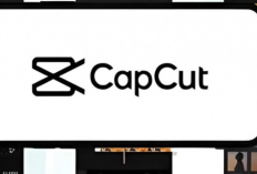 CapCut Pro MOD APK 11.7.0 Download 2024 , Fitur dan Filter Terkunci Terbuka Semua! Banyak yang Premium