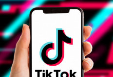 Loker Freelance Optimized Indonesia, Review Like Tiktok Dengan Cuan Melimpah: Awas Penipuan!