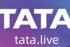 Download Tata Live APK Terbaru Februari 2024 Live Streaming Bar Bar Tanpa Batas, Unduh Sekarang GRATIS 