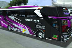 Download Mod Bussid Tunggal Jaya Panda Full Strobo Terbaru 2024, Gambar Jernih Full HD! Unduh Sekarang