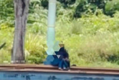 Viral Video Sepasang Kekasih Bermesraan di Taman Kolam Kijang, Serasa Dunia Milik Berdua!