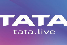 Download Mod Apk TATA LIVE New Version 2024, Unlocked Semua Room Tonton Sepuasnya!