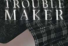 lire un roman Troublemaker, Tome 2 - Livre de Laura Swan PDF, Raconter l'histoire d'une relation illicite