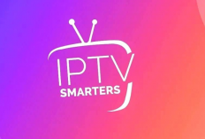 Code IPTV Smarters Pro Gratuit Username Et Password 2024 août 2024, Dépêche-toi de l'attraper !