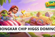 OPEN Agen Bongkaran Chip Higgs Domino Tahun Baru 1 Januari 2024, Resmi dan Terpercaya! 